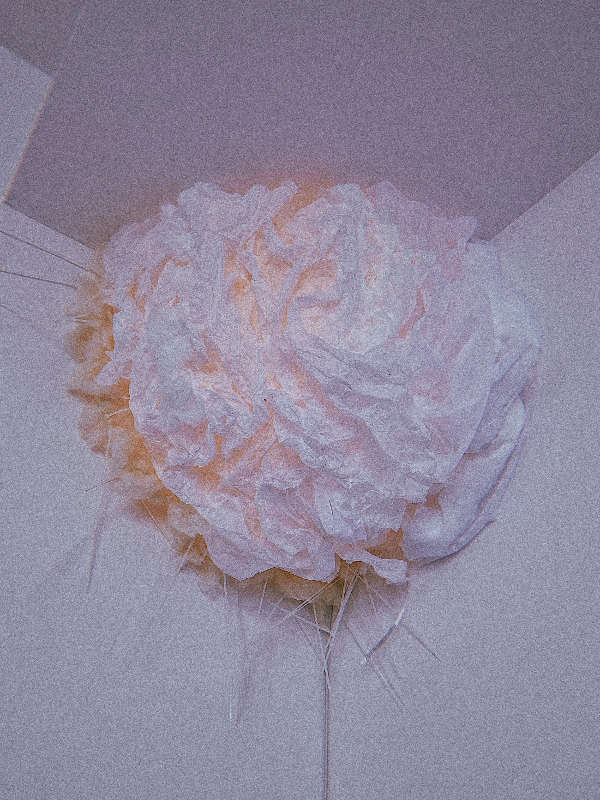 2021-03-22 12:59:13.117.jpg