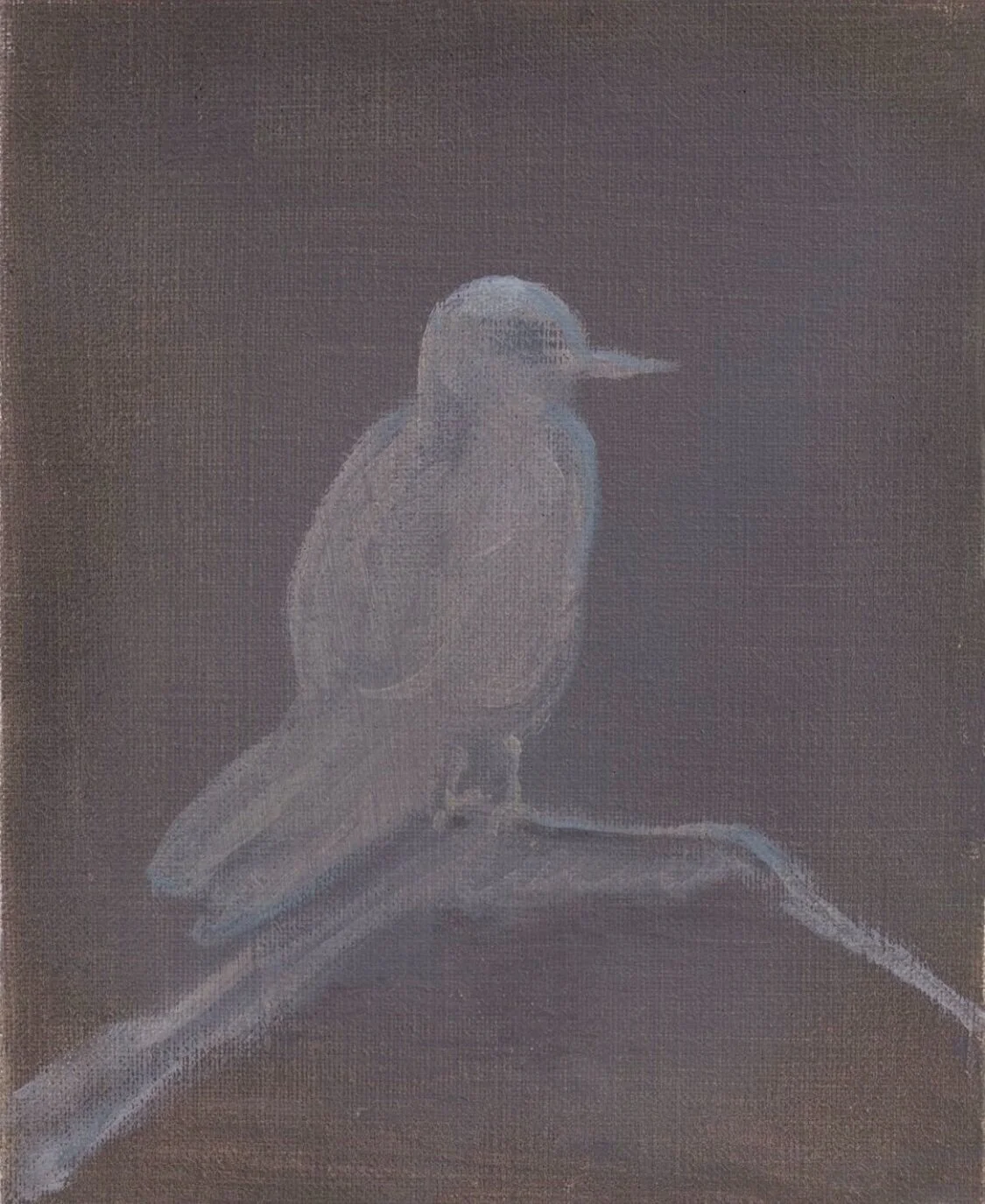 A Little Bird