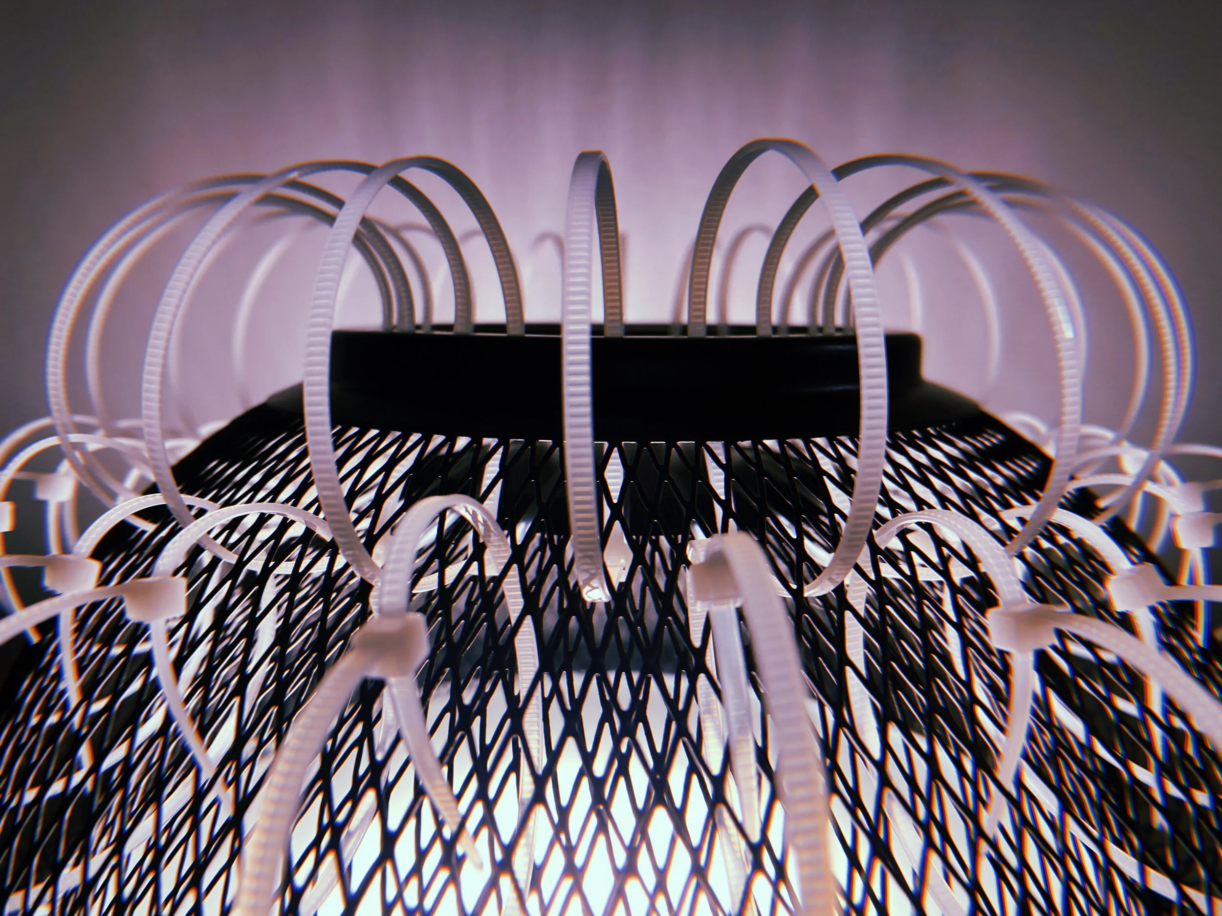 2020-09-13 20:18:02.035.JPG