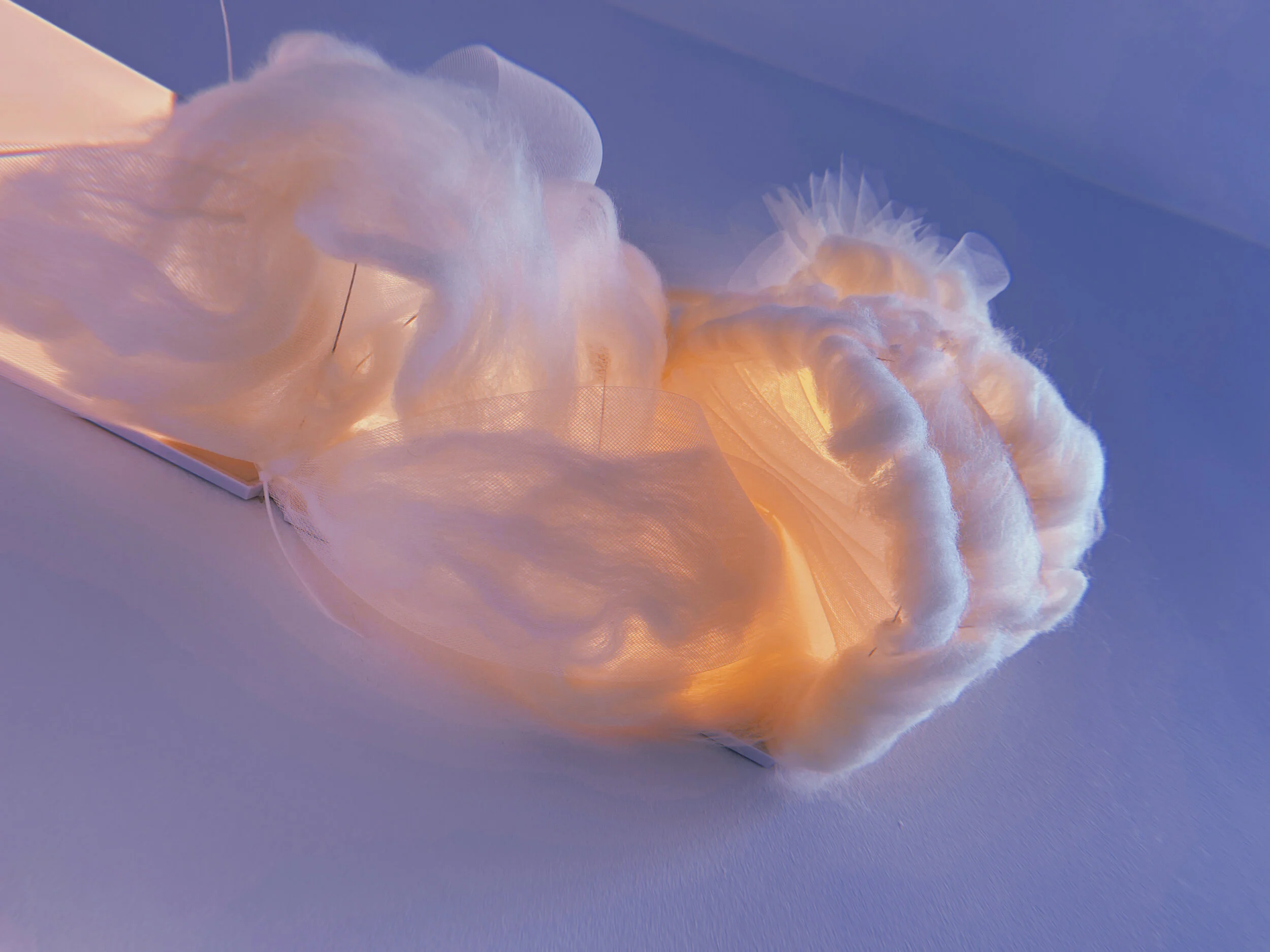 2021-04-21 13:00:42.540.JPG