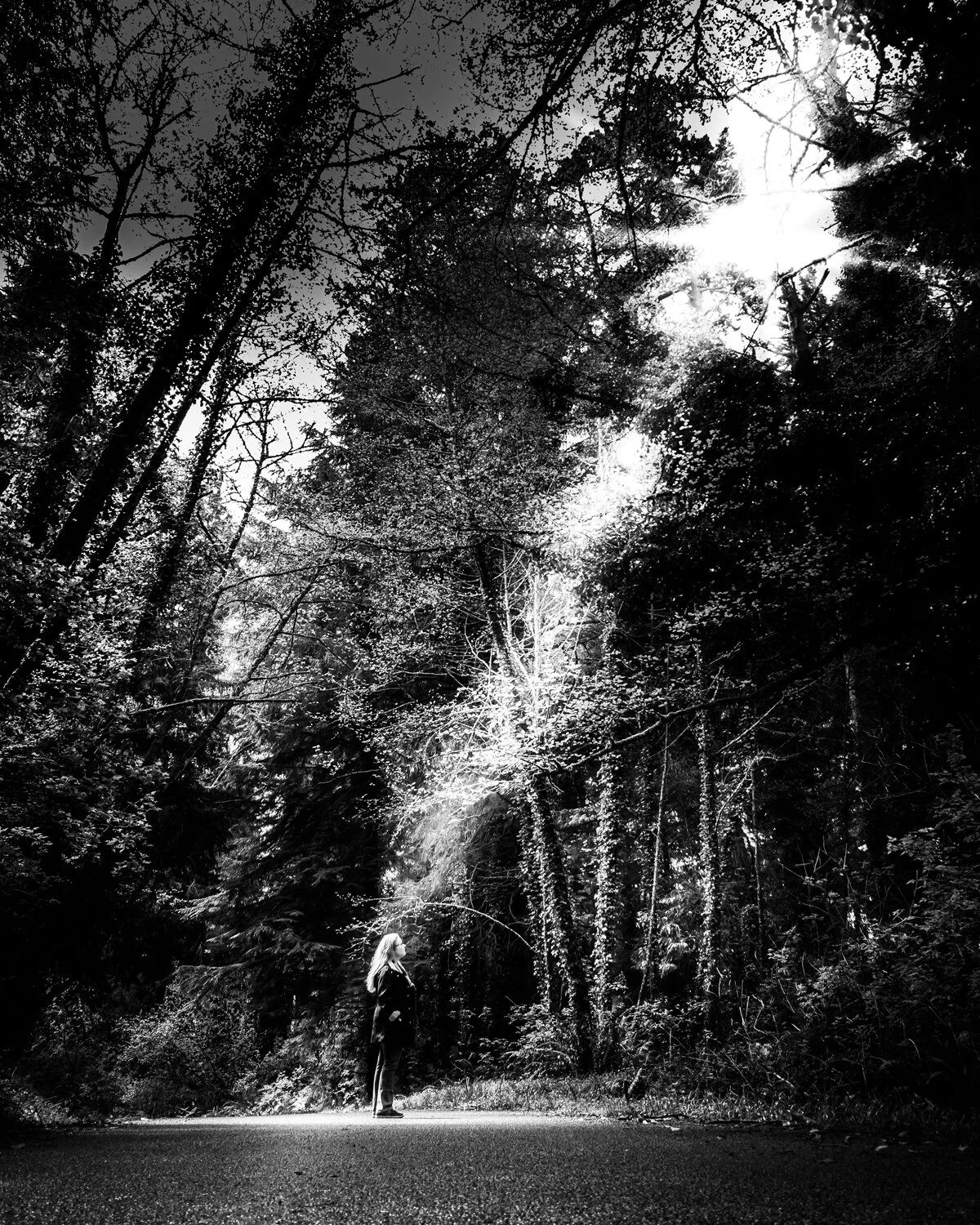 Follow the light | Pittum Loop Oregon