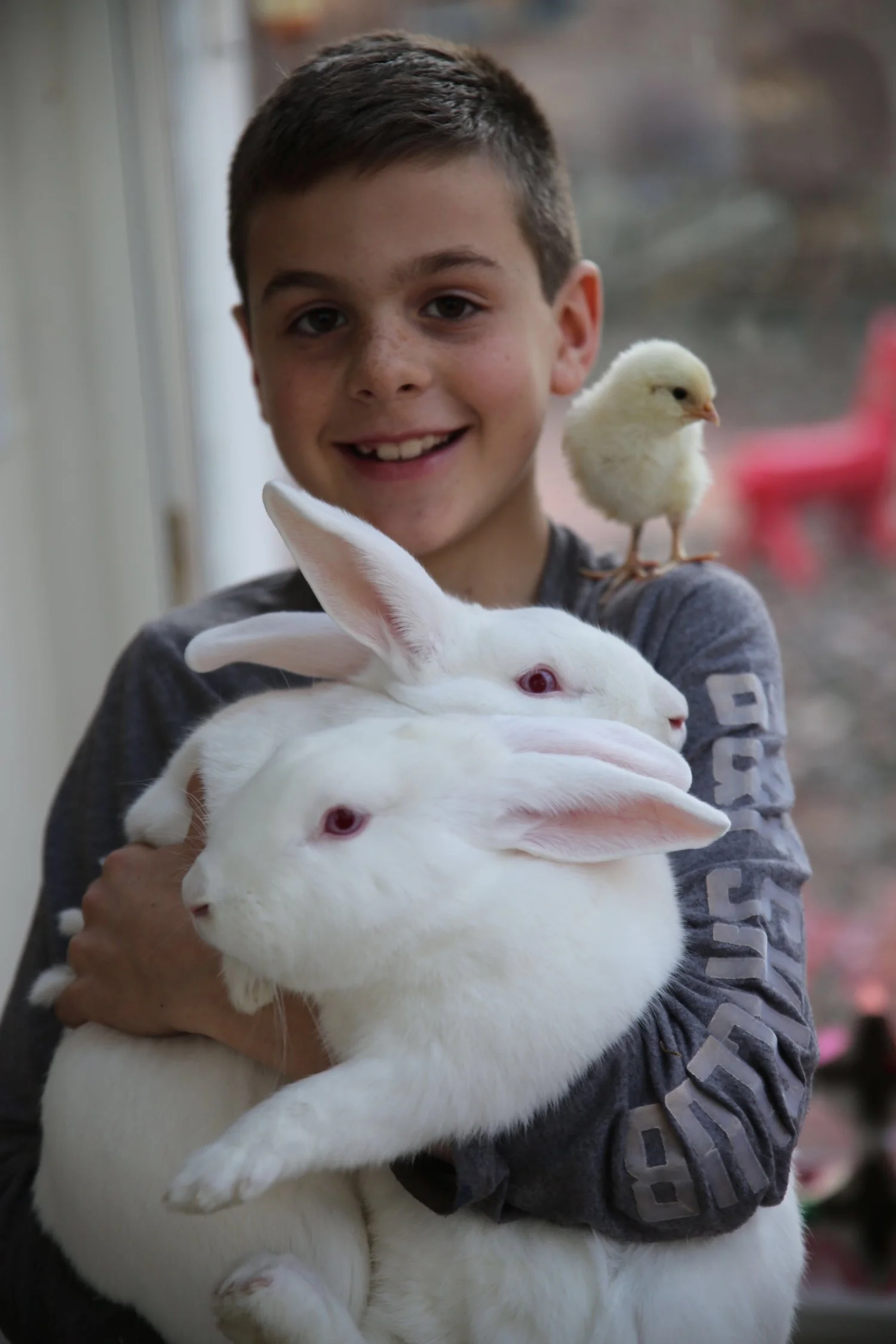 Happy Easter