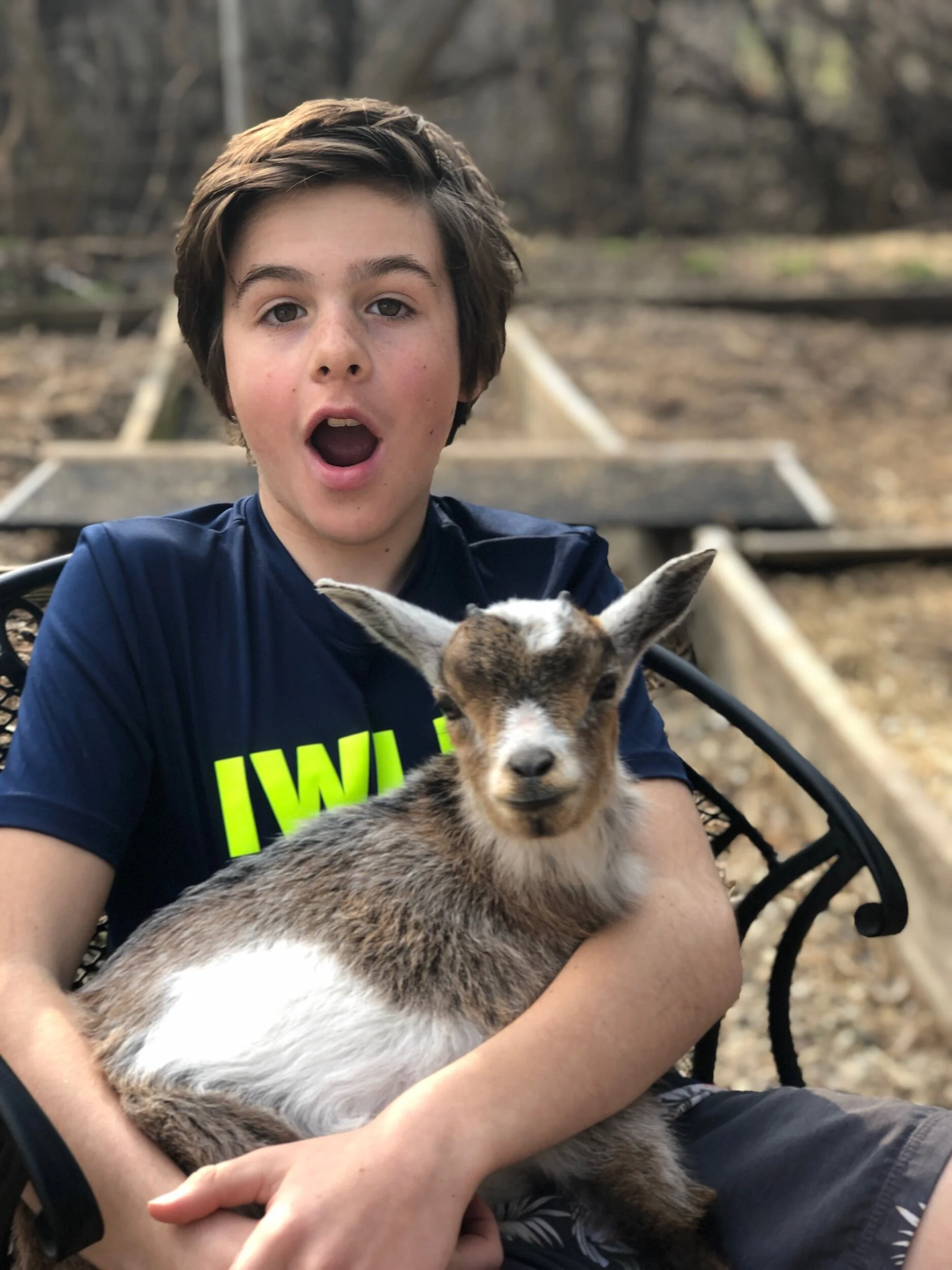 Goat Therapy