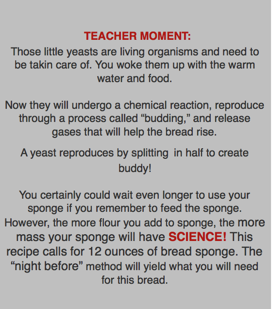 teacher-moment-2.png