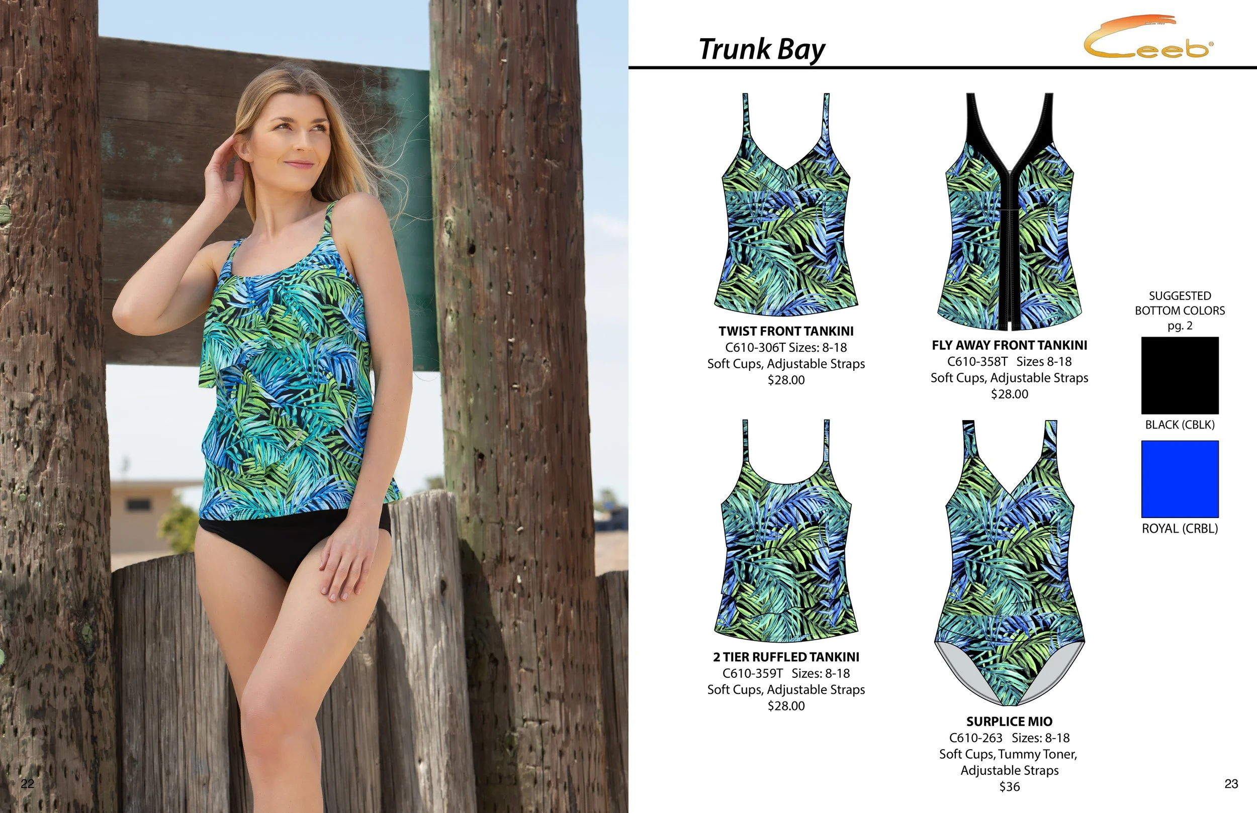 Ceeb 2026 Catalog12.jpg