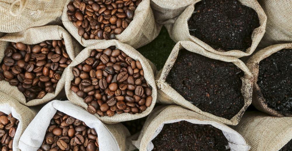 fresh roasted coffee beans