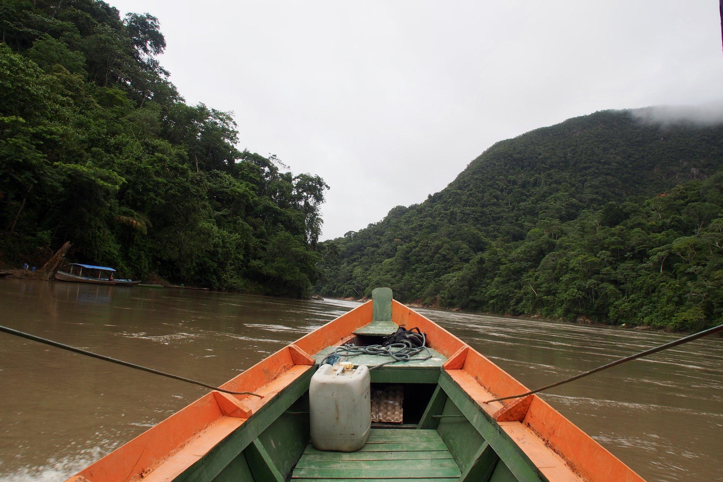 The Amazon: Survivor Style