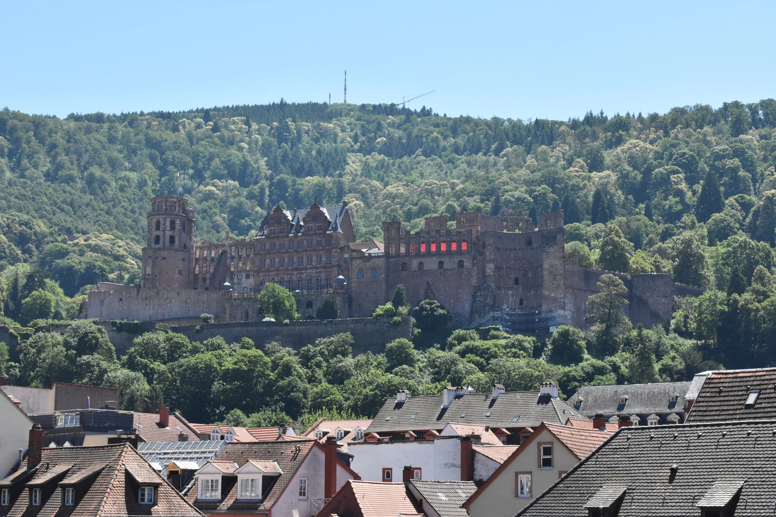 DSC_0635.JPG