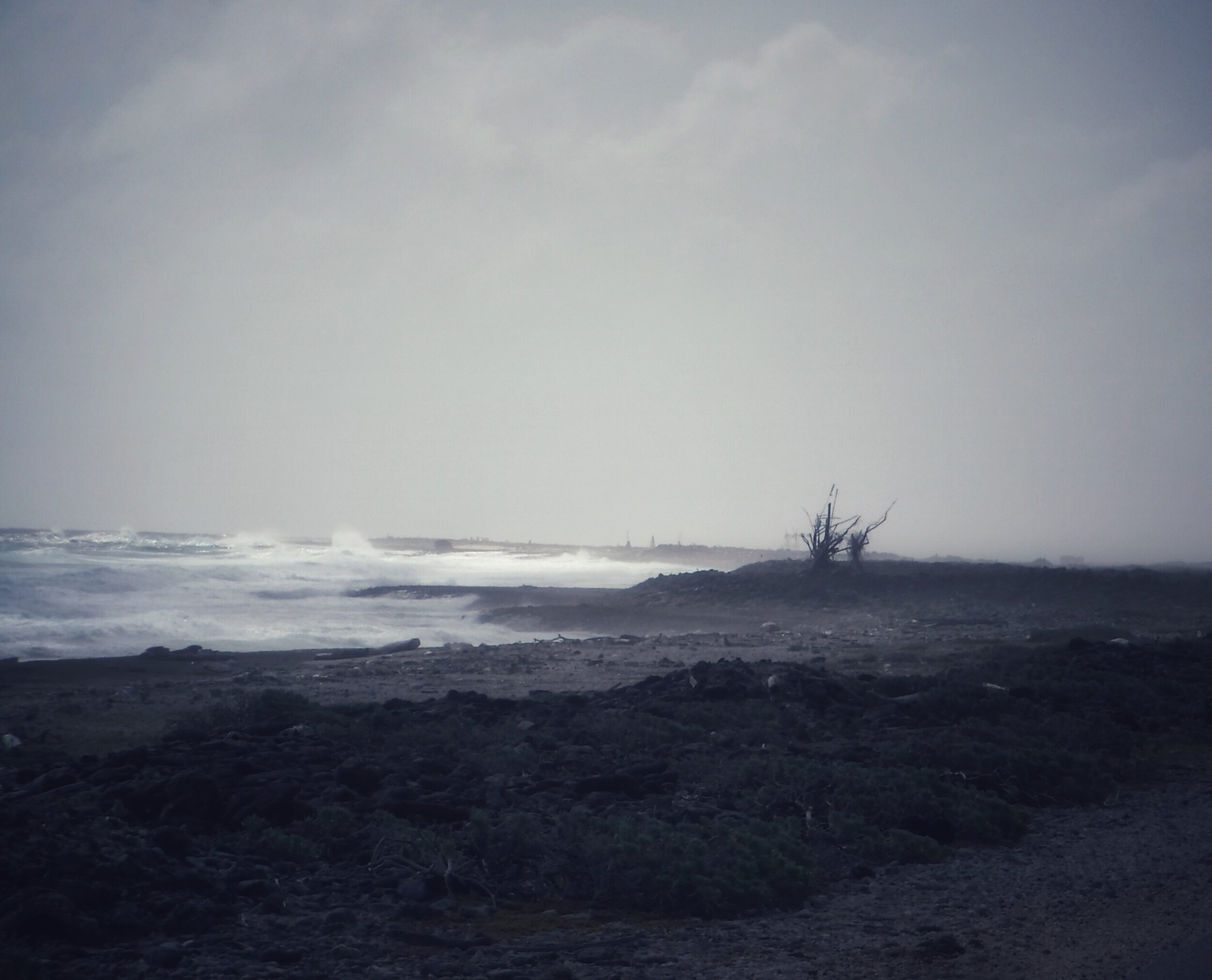 IMG_0157.jpeg