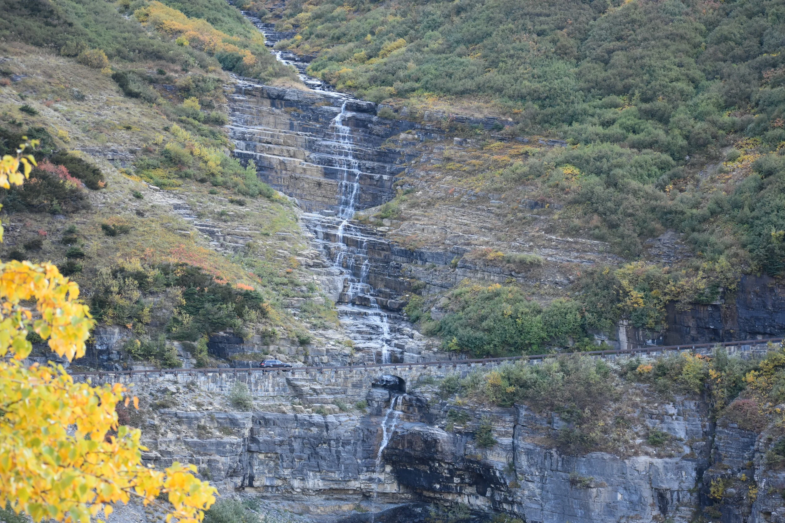 MFP_0926.JPG