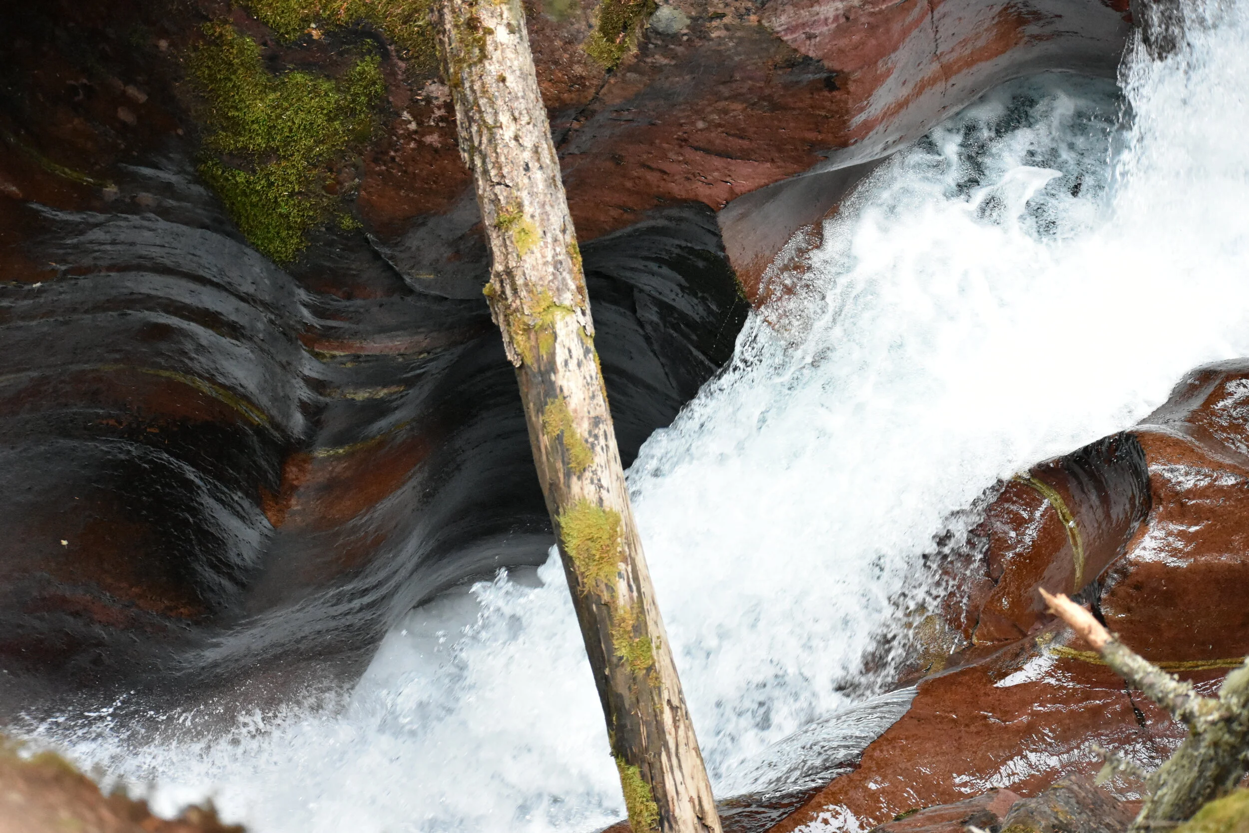 MFP_0227.JPG