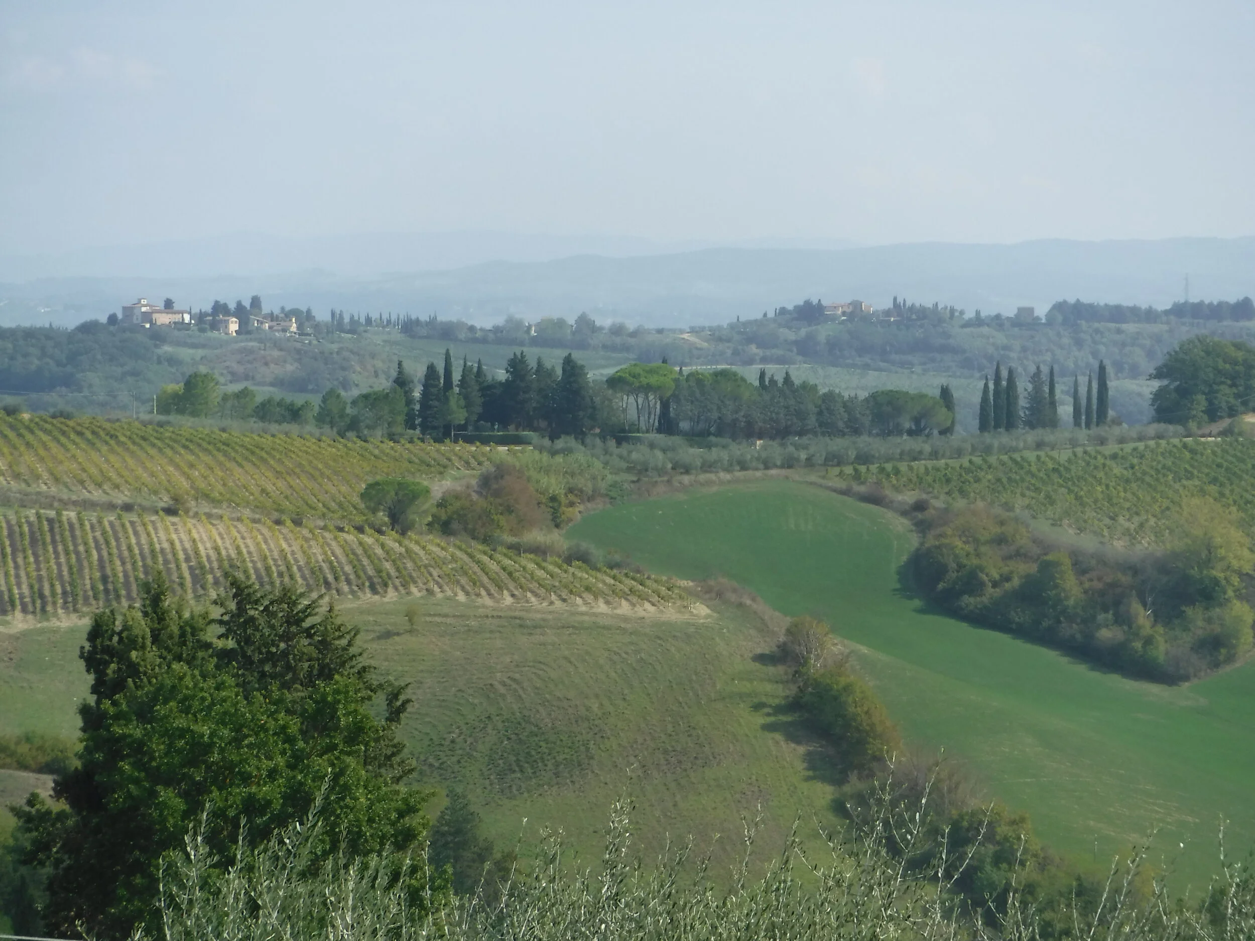 DSCF2554.JPG