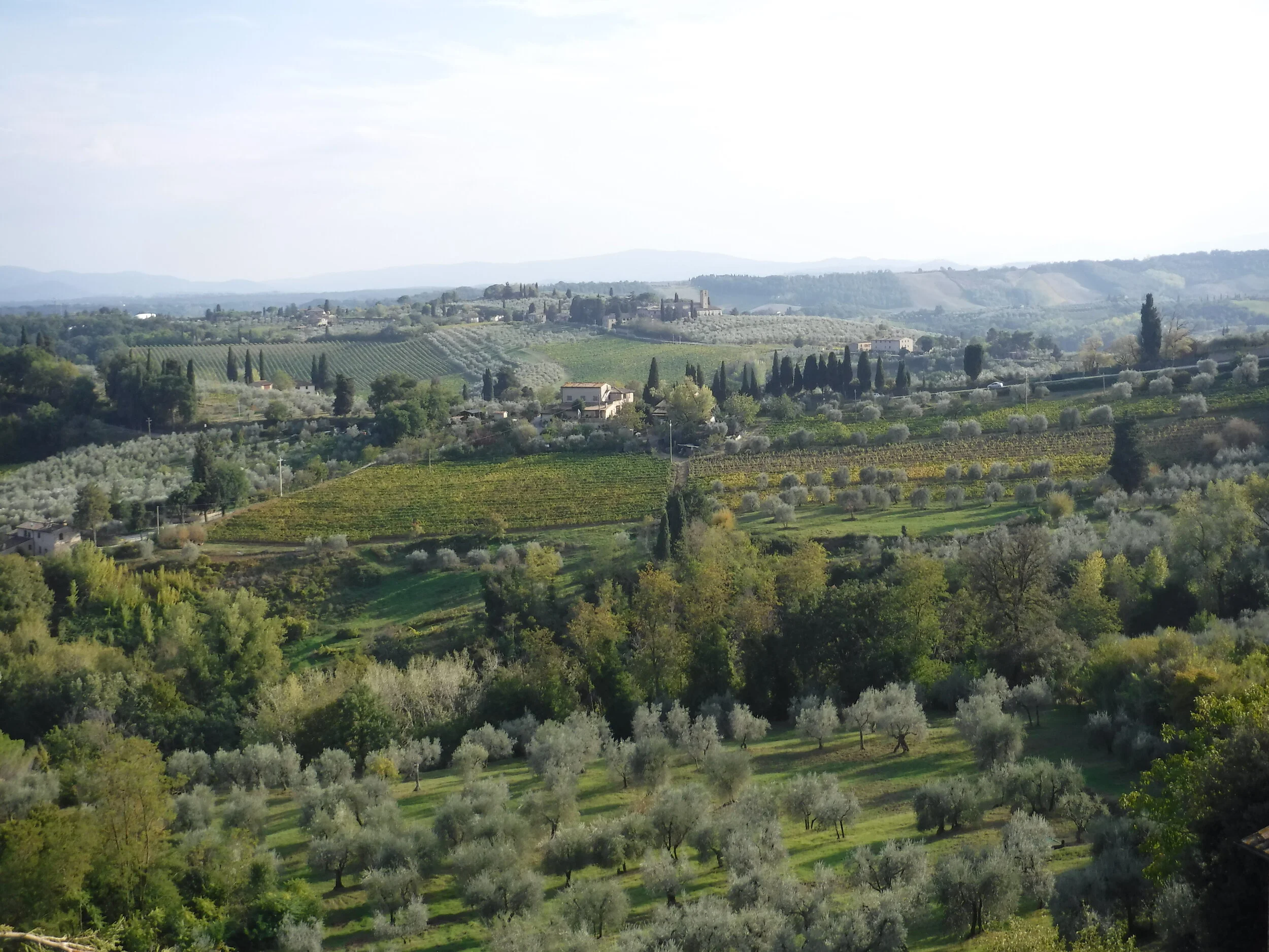 DSCF2582.JPG