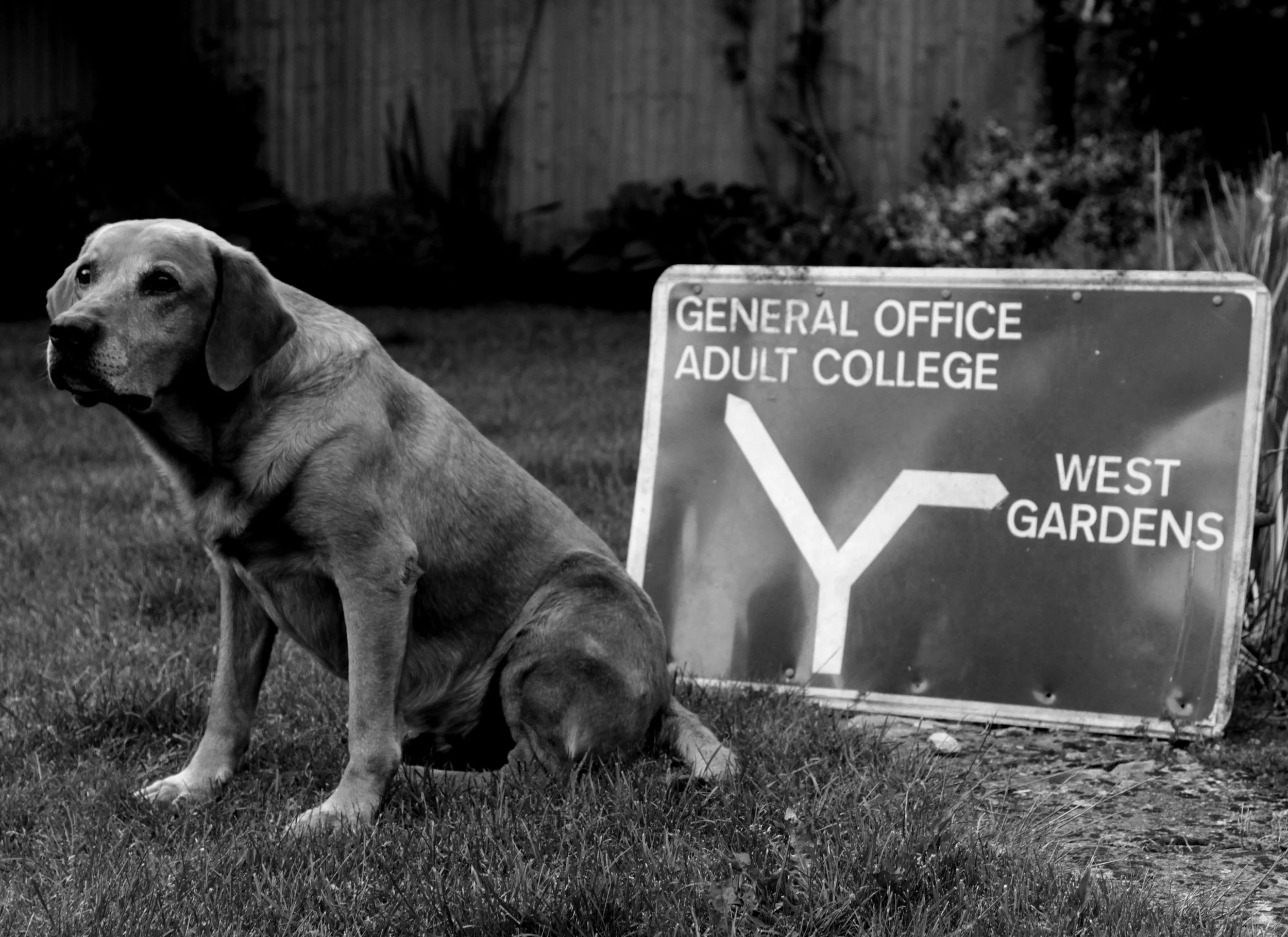 glennandsign1.jpg
