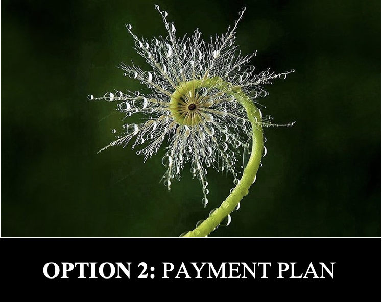 Sacred Mentorship Journey (Payment Plan)