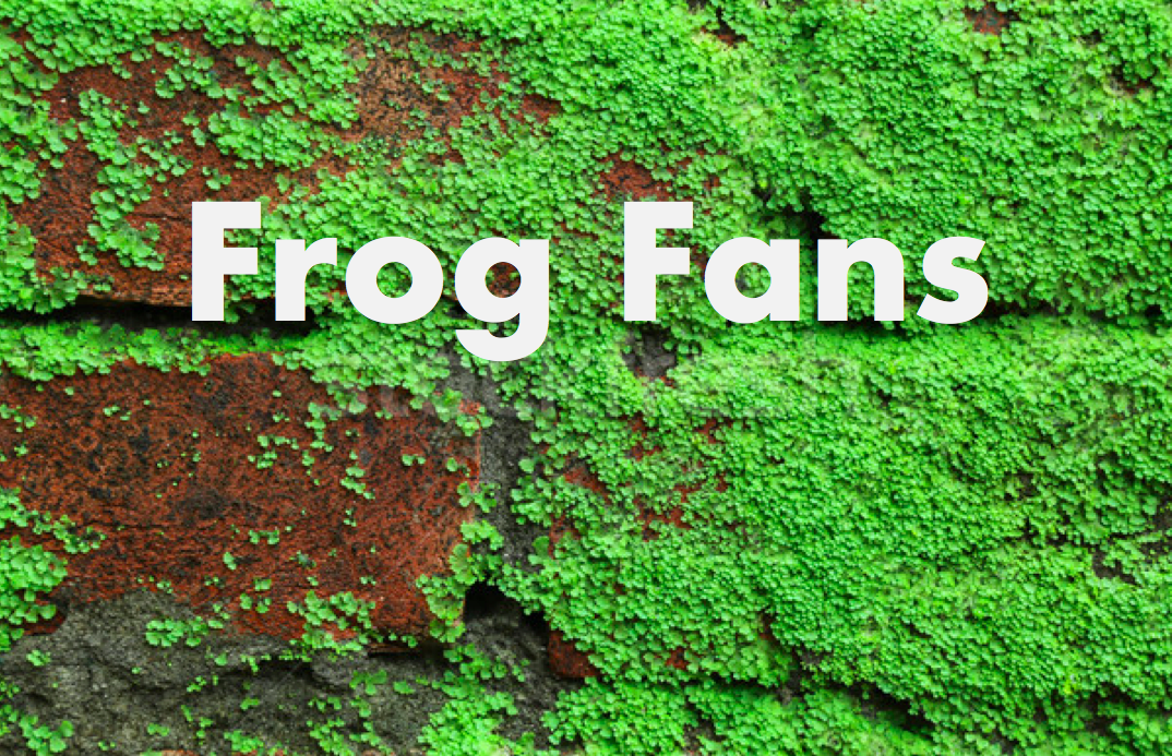 FrogFansPicture.png