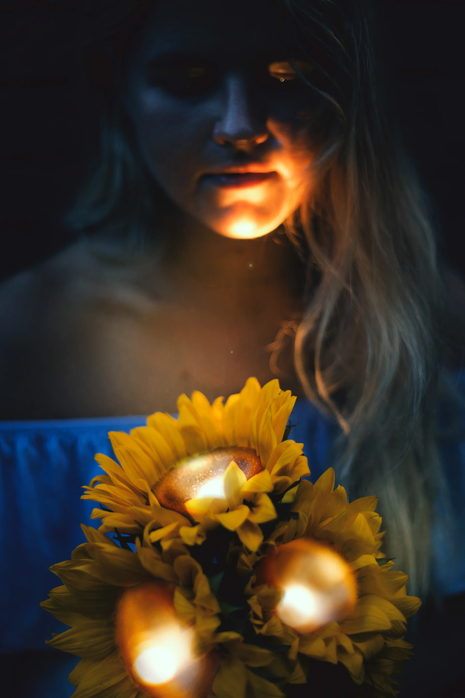 sunlight flowers.jpg