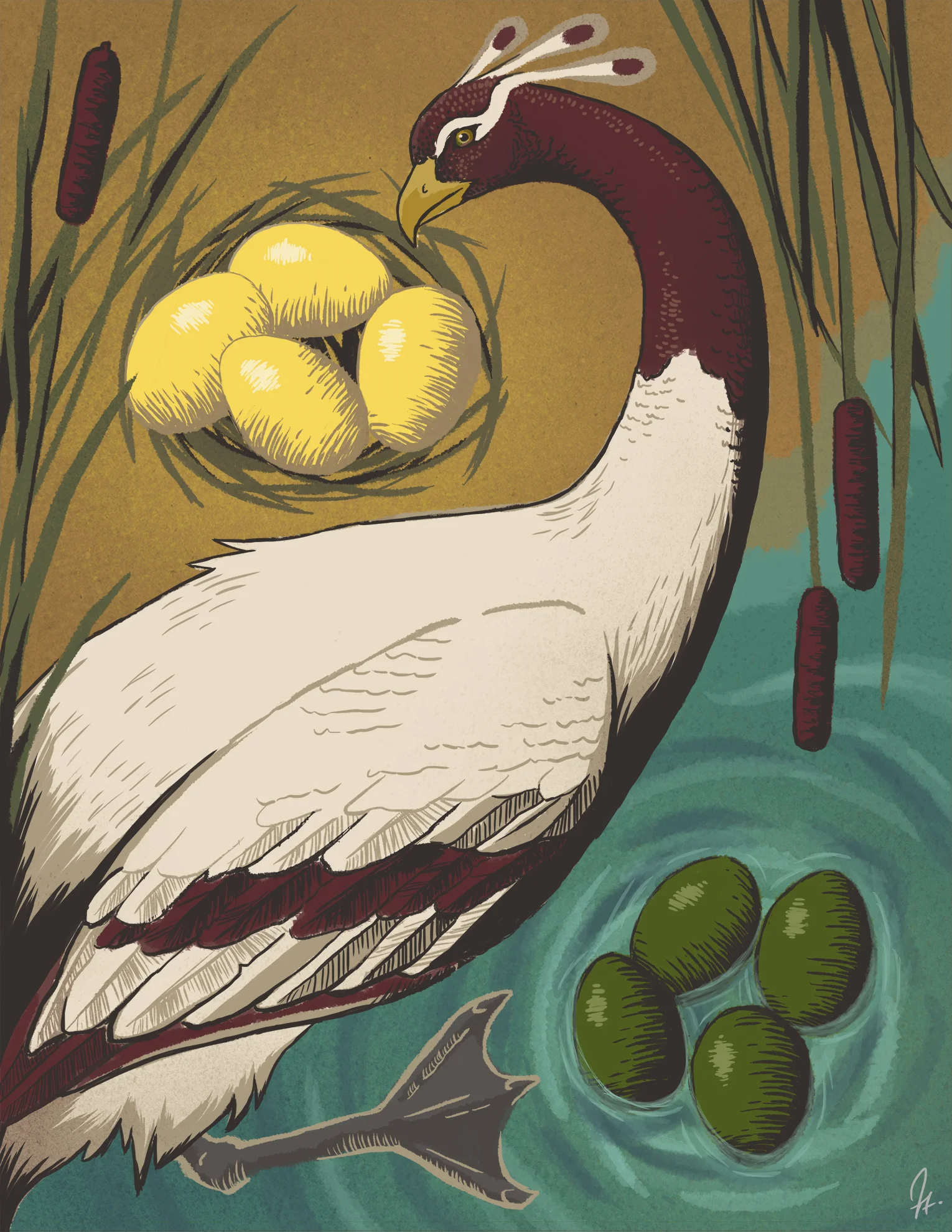 Orphan Bird