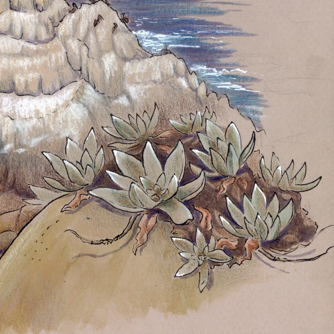 fs-pointlobos.jpg