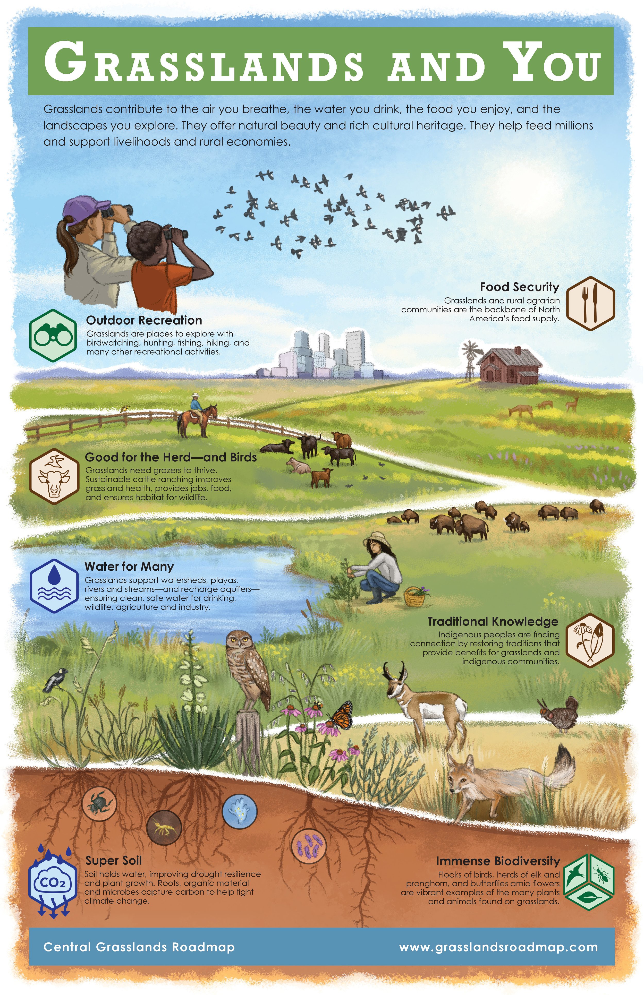 "Grasslands and You" Campaign Infographic