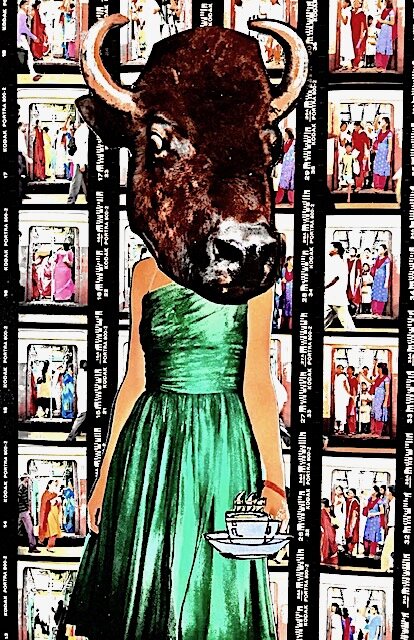 buffalo and bustello.JPG