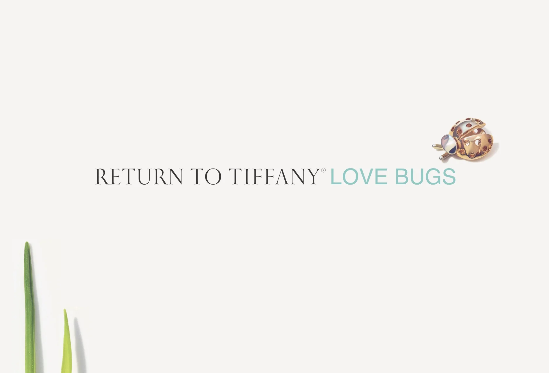 Love Bugs 2019 PR digital look book (dragged).jpg