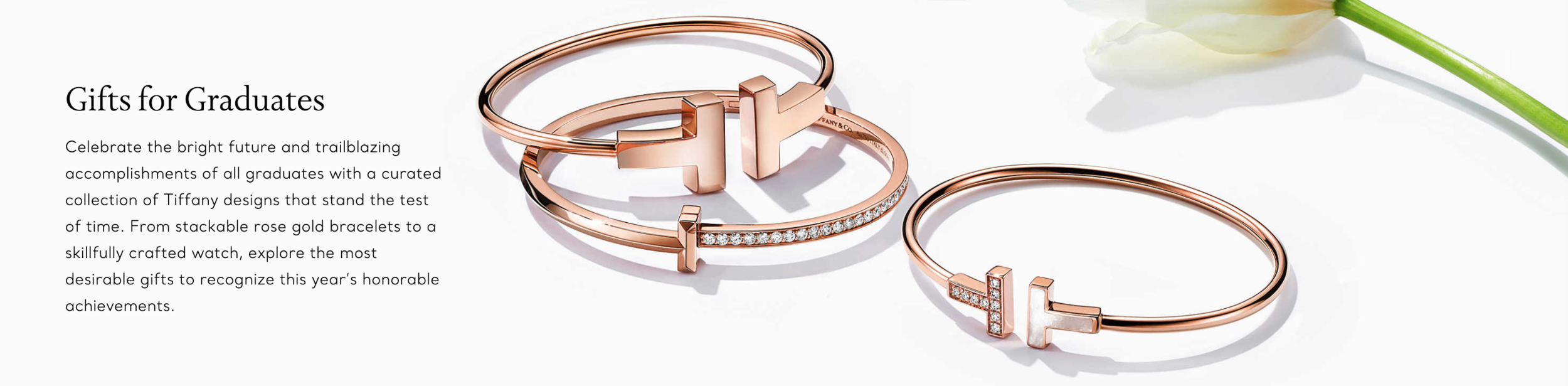 Screen Shot 2021-06-07 at 7.13.27 PM.png