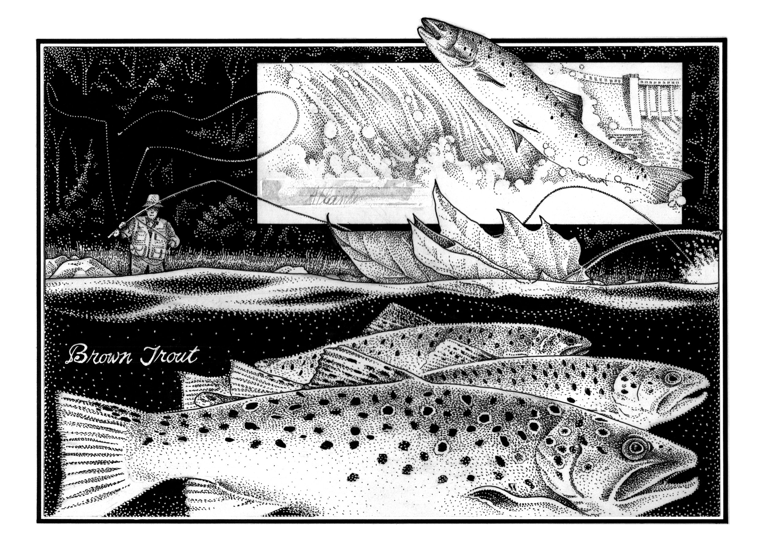 Outdoors Trout and Fishermen Return to a River 1.jpg