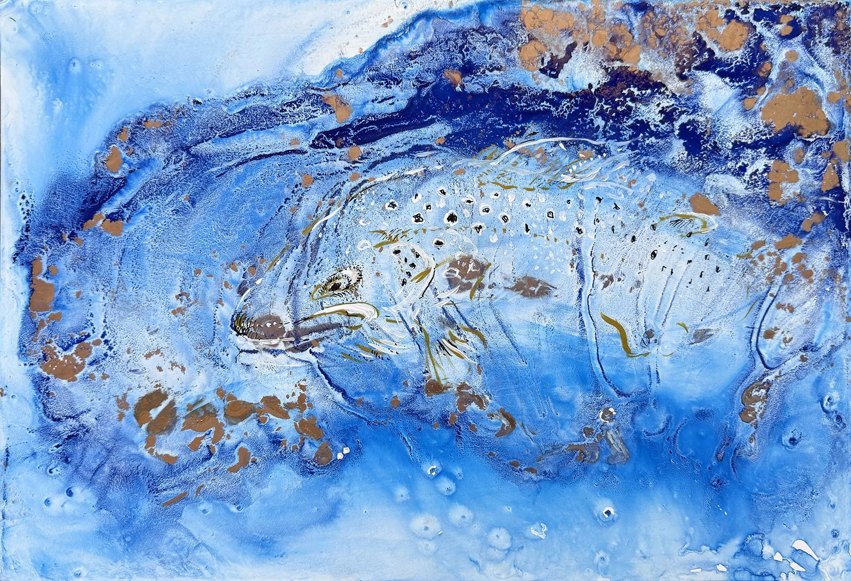Salmo Nocturne in Blue.jpg