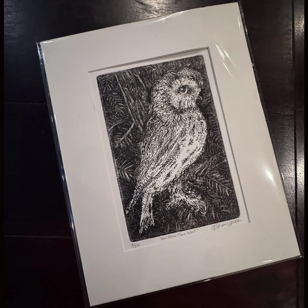 Northern Saw Whet-sleeve.jpg