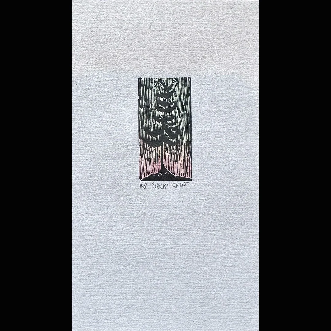 JackPine.jpg