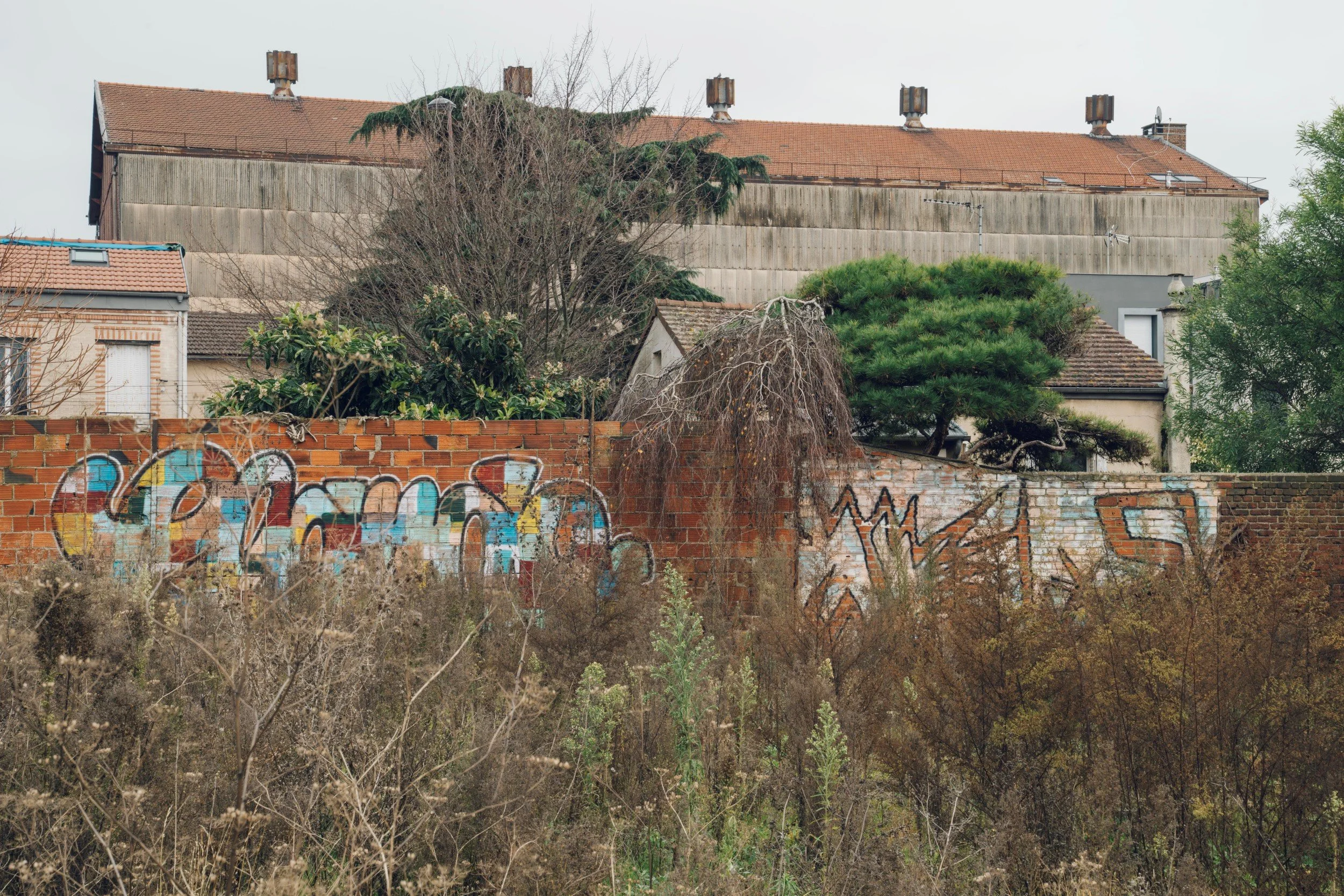 03 - Terrains Vagues-5514-48°48'34.3N 2°23'56.9E.jpg