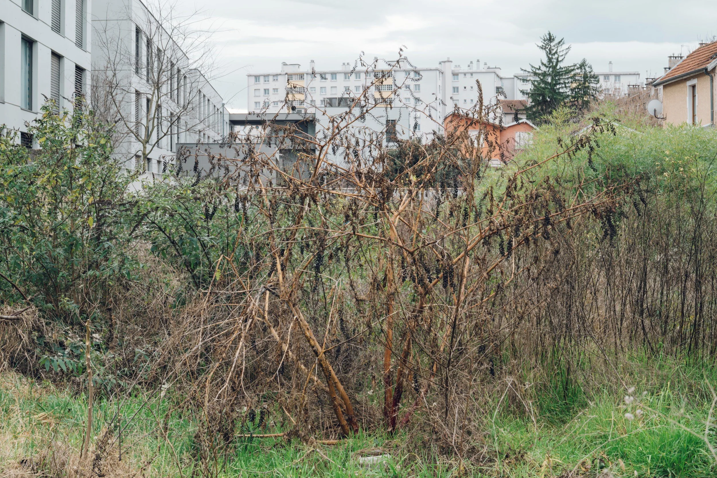 02 - Terrains Vagues-6090-45°46'22.6N 4°53'08.5E.jpg