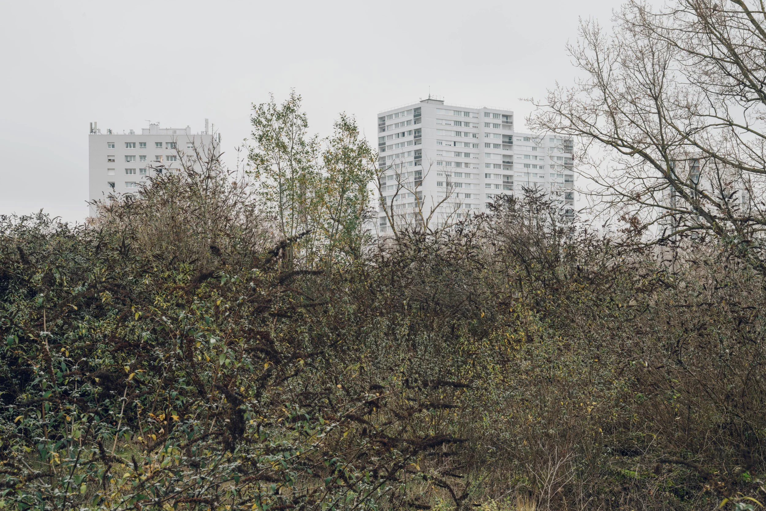 09 - Terrains Vagues-5804-48°48'16.2N 2°24'31.9E.jpg