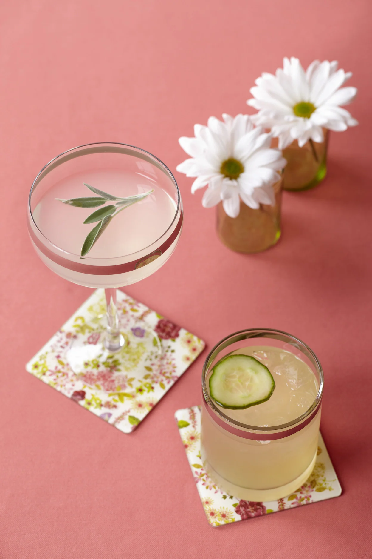 kyotosour&sage.jpg