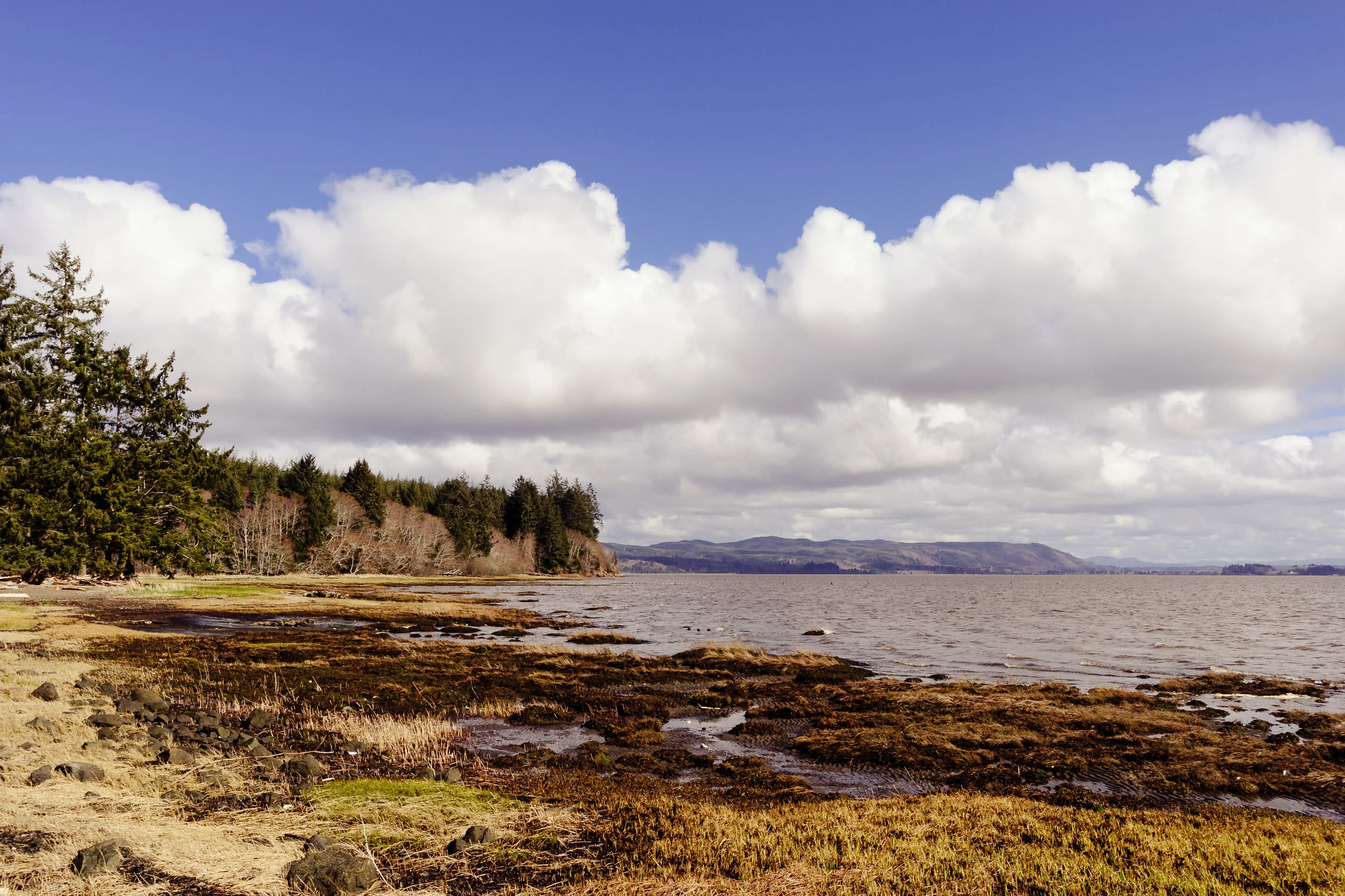 AdobeStock_187938890.jpeg