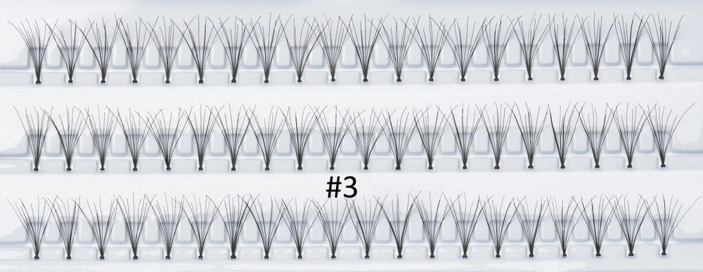 IMG_5899.JPG (Kopie)