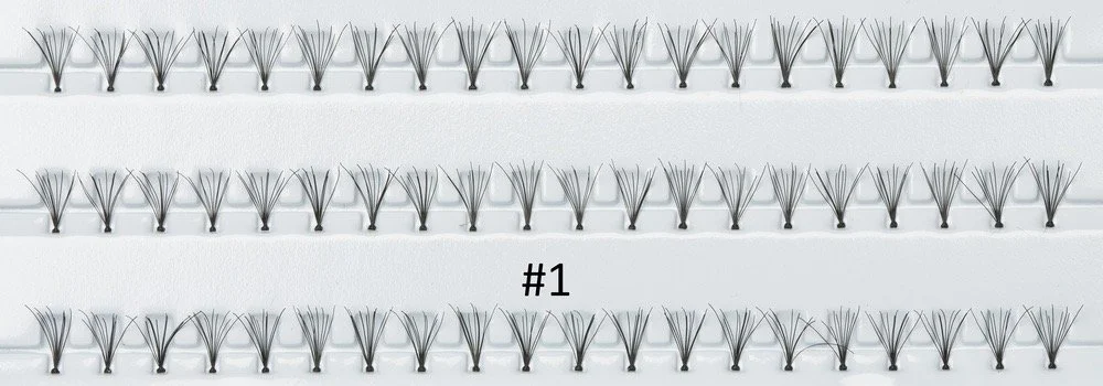 IMG_5897.JPG (Kopie)