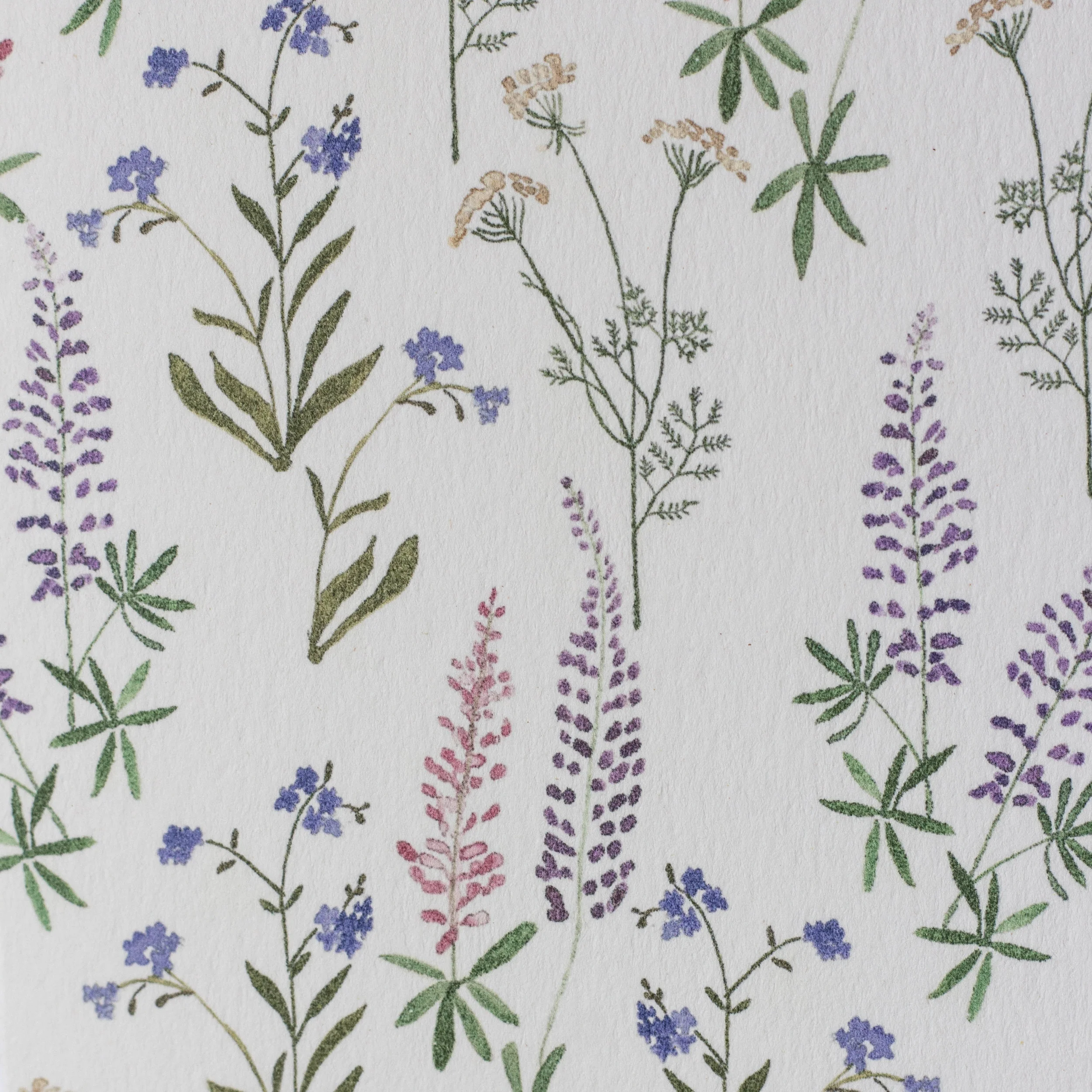 2018-04-15 17.54.45.jpg