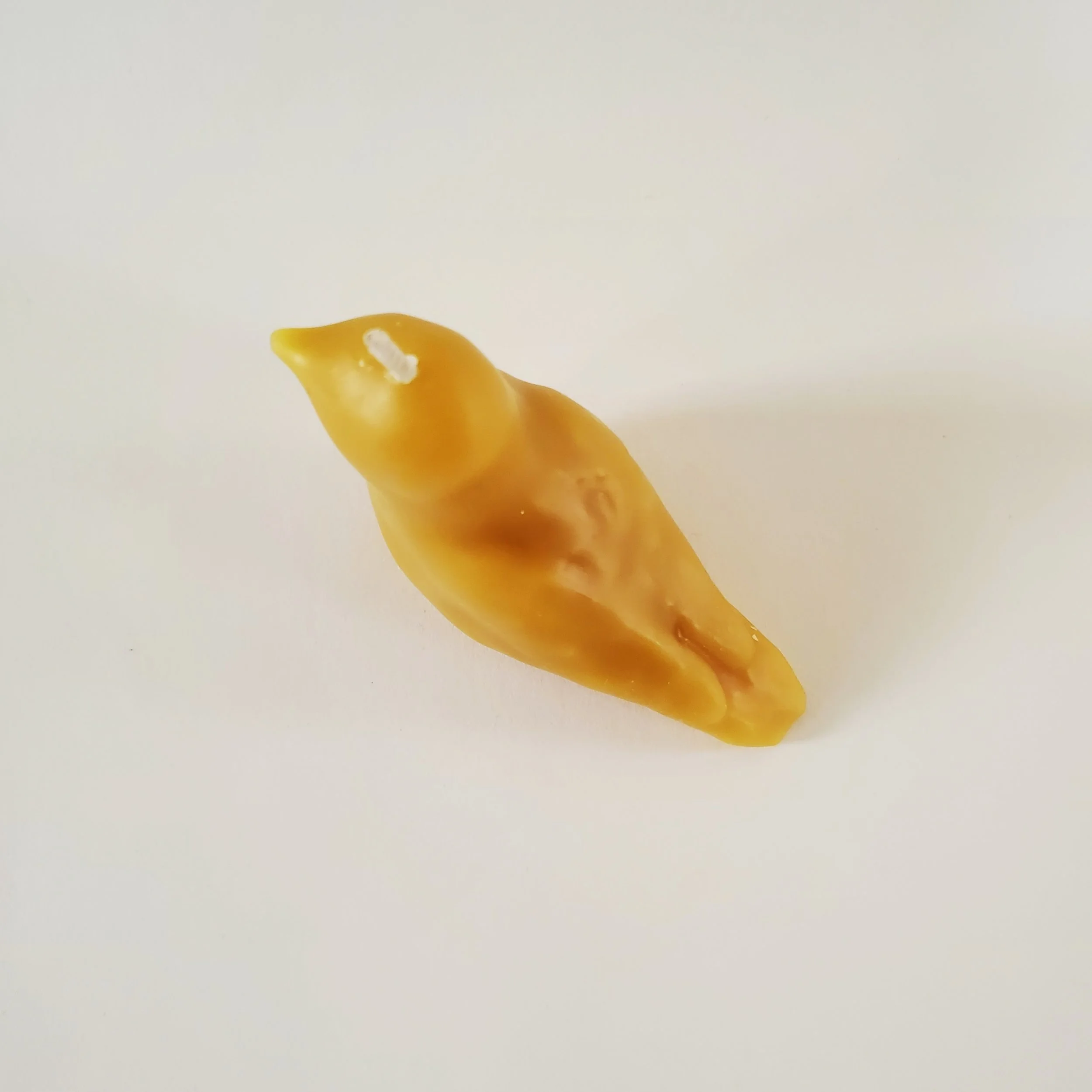 20260730_142429.jpg