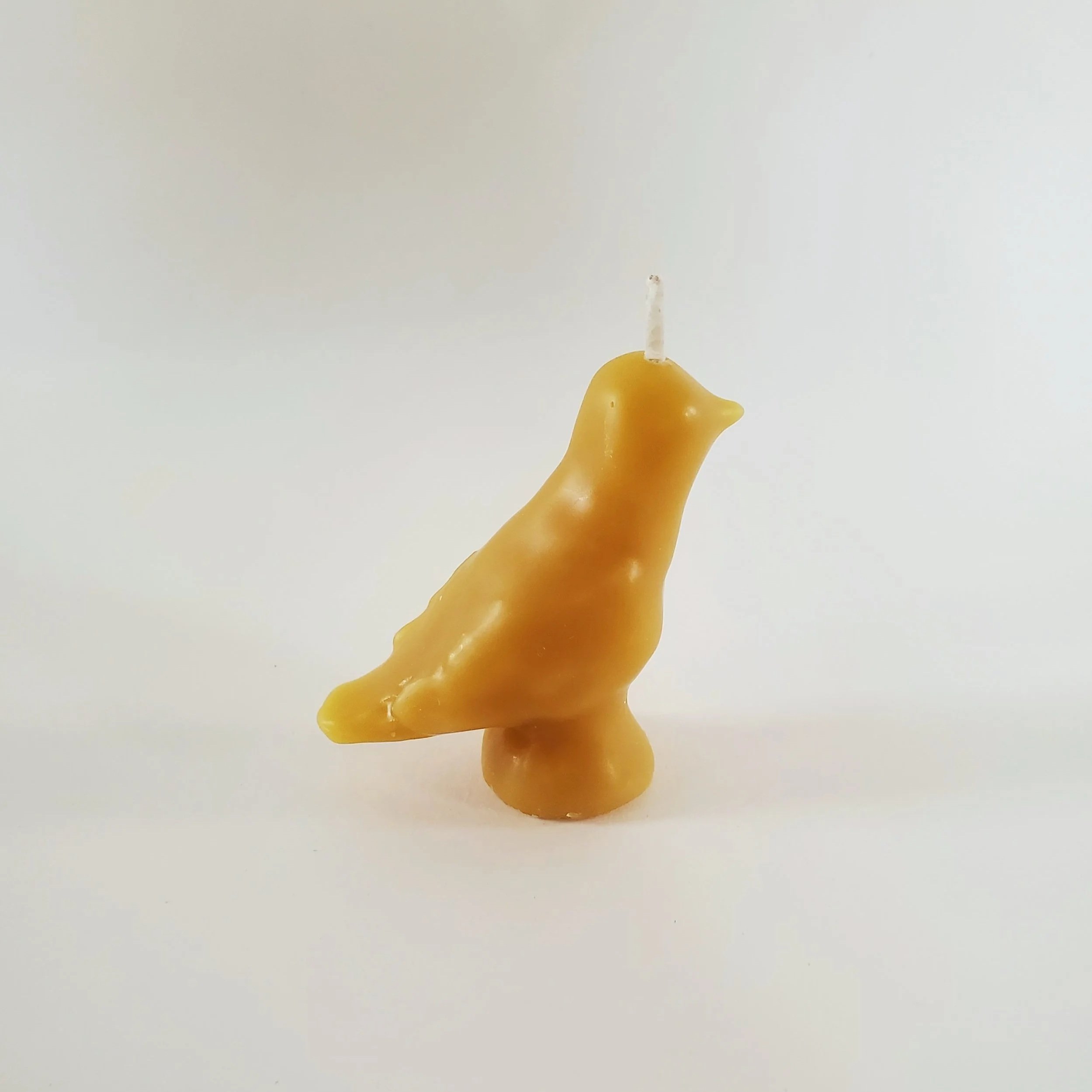 20260730_142636.jpg