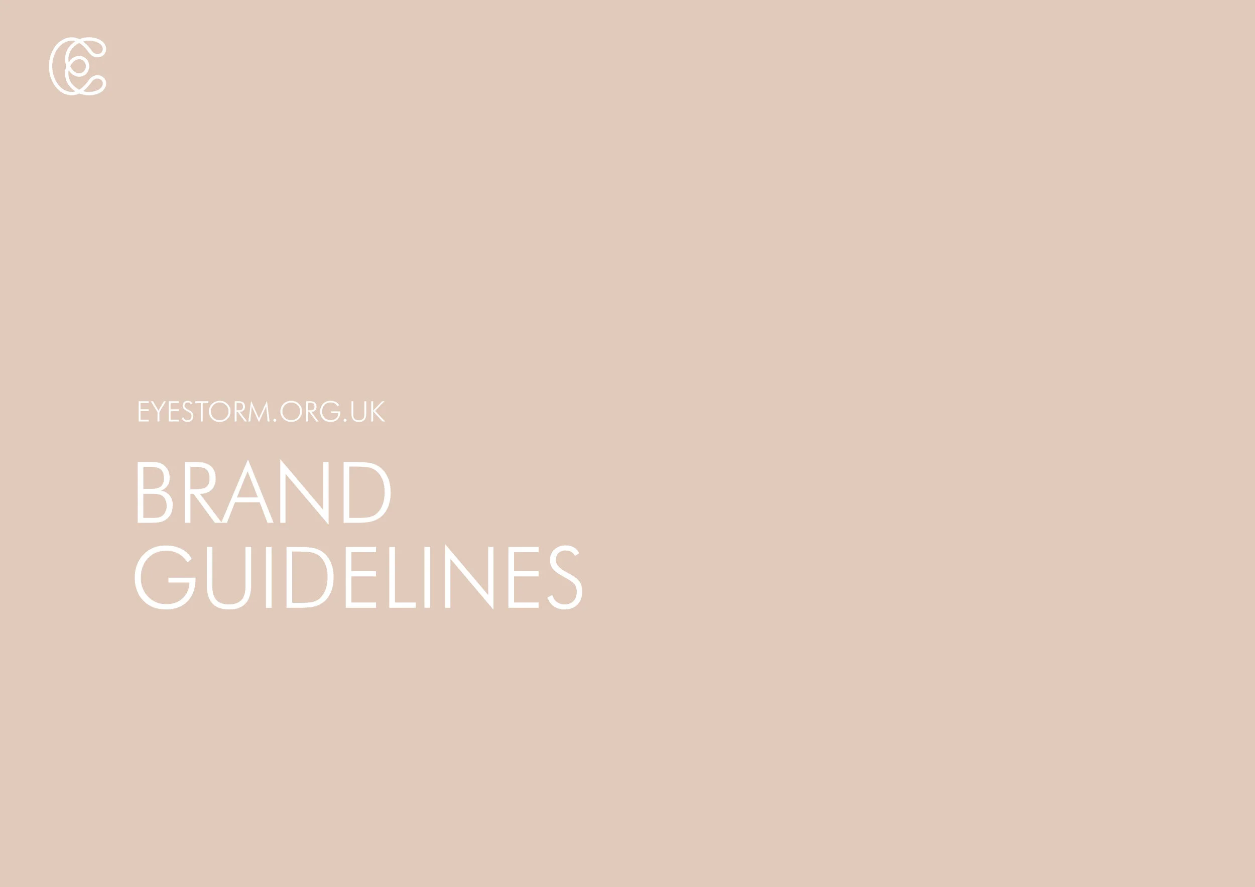 Eyestorm_brand_guide_1.jpg