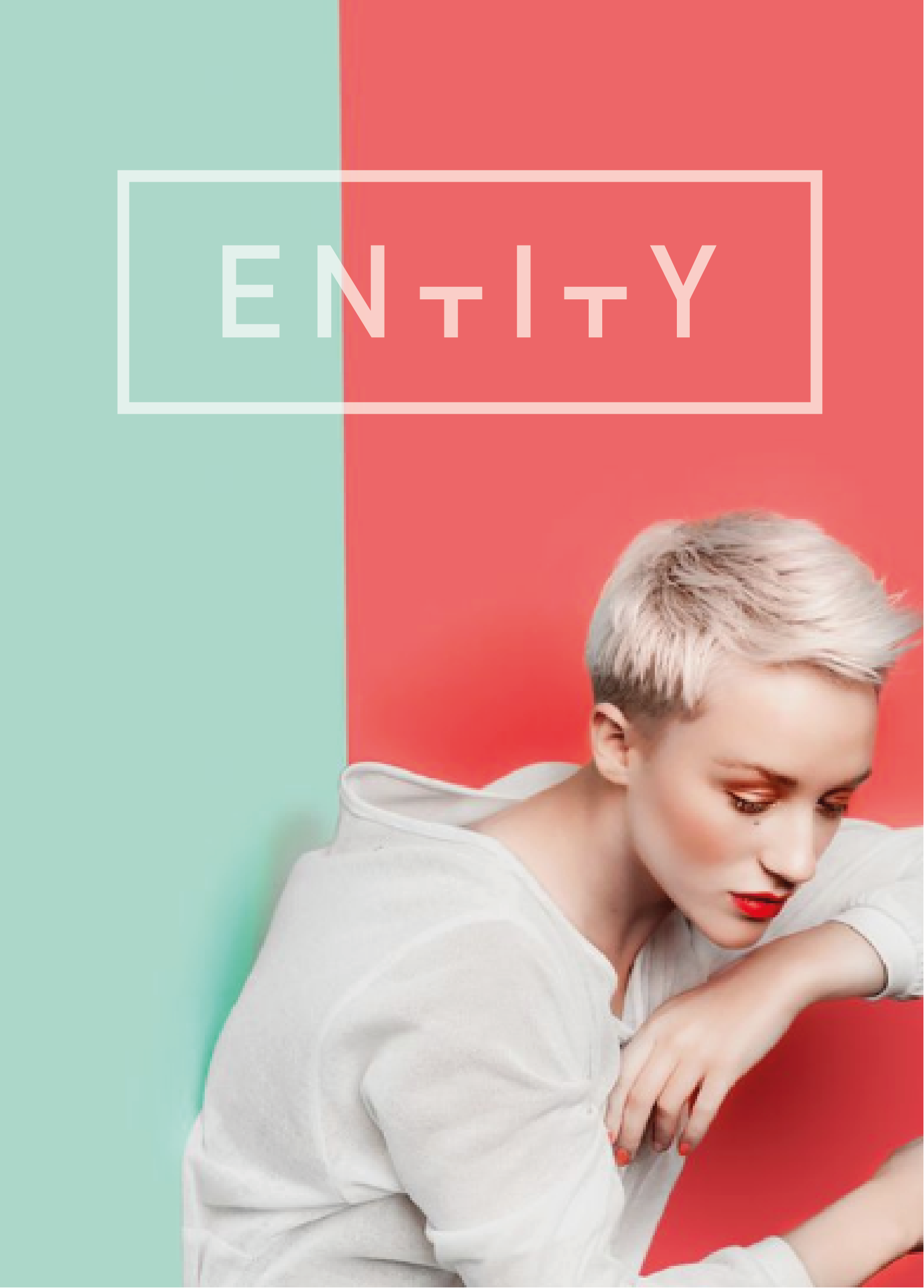 Entity.png