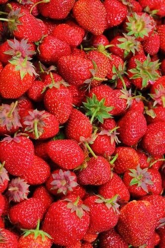 strawberries-berries-fruit-freshness-46174.jpg