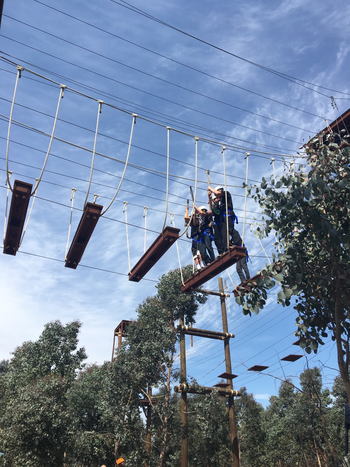 High School FIT ropes course 2.jpg