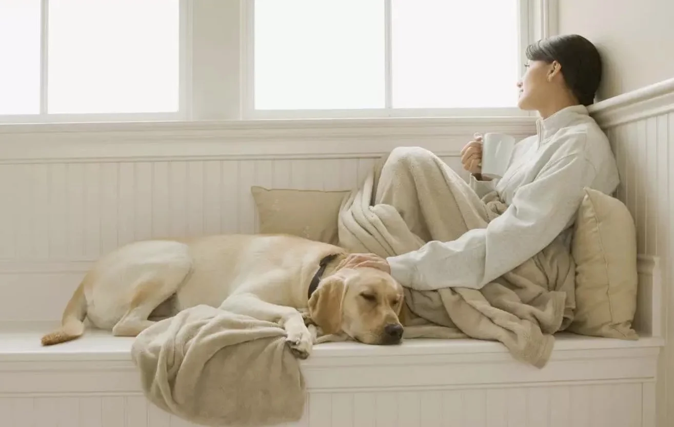 Eyvah Kış Geliyor!