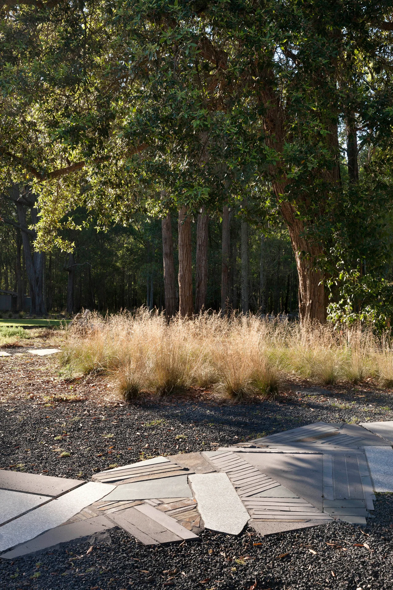 R157512-03-Forest-Edge-Garden-Dianna-Snape.jpg