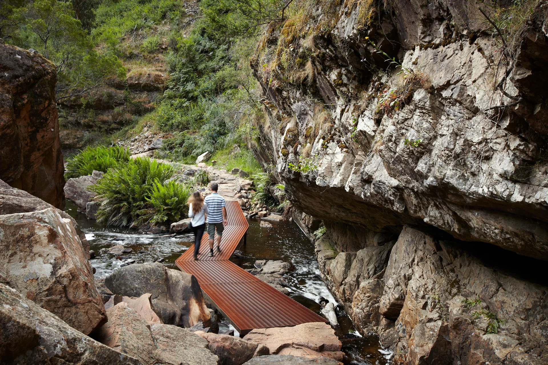 R157253-03-McKenzieFalls-AndrewLloyd.jpg
