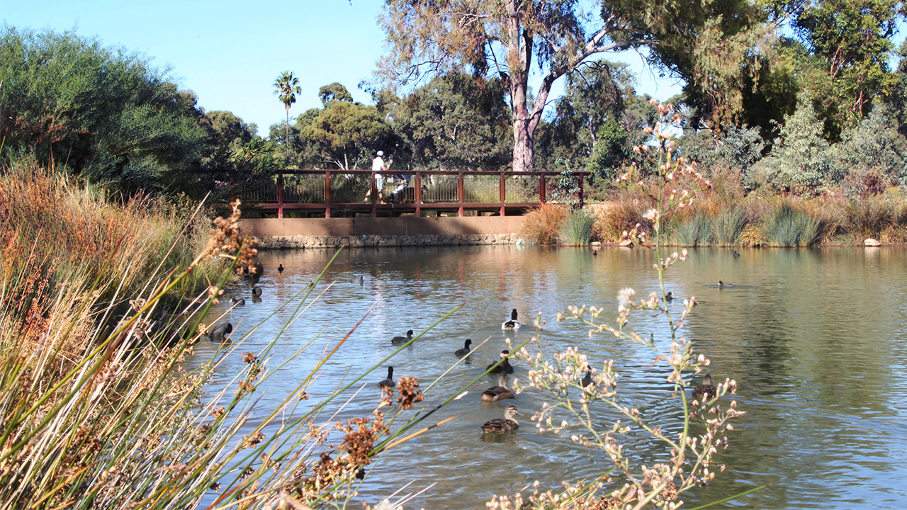 08-Oaklands Park and Wetland-Alex Lock MASTER.jpg