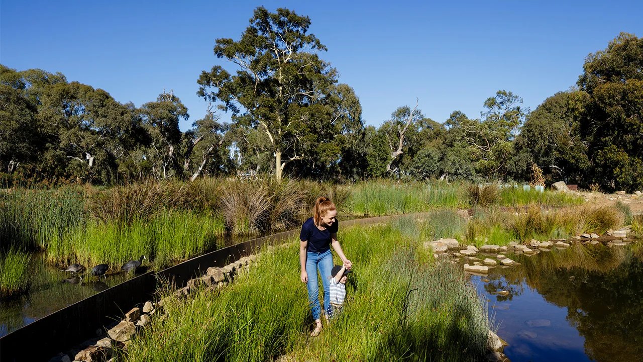 02-Oaklands Park and Wetland-Sam Noonan MASTER.jpg
